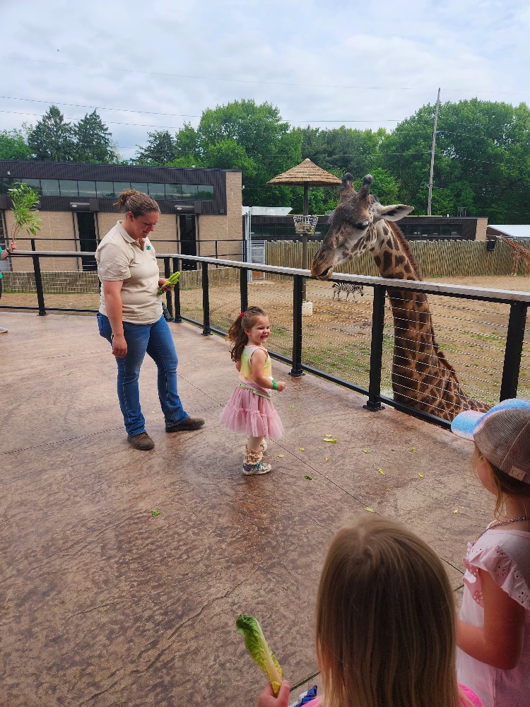 Vera feeding giraffe